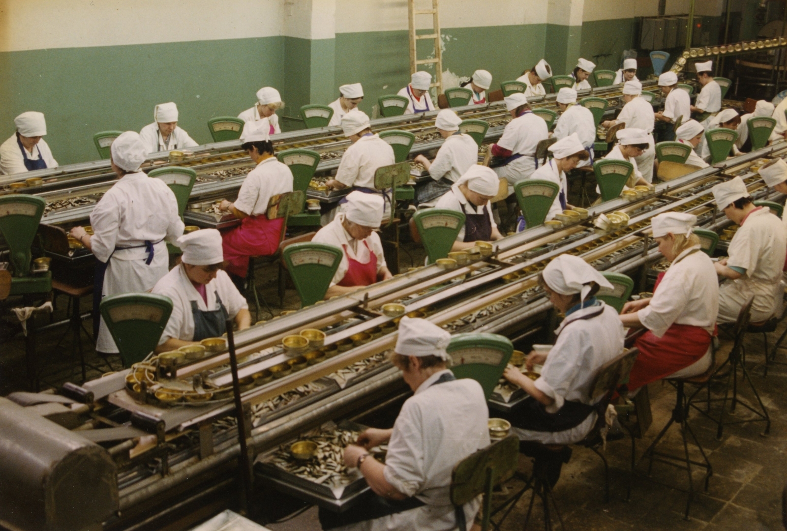 Krāsaina fotogrāfija. Telpā pie diviem konveijeriem, uz kuriem novietotas konservu kārbas, sēž sievietes, ģērbušās baltos halātos, ap galvām balti apsēji, viņām priekšā novietotas paplātes ar zivīm.