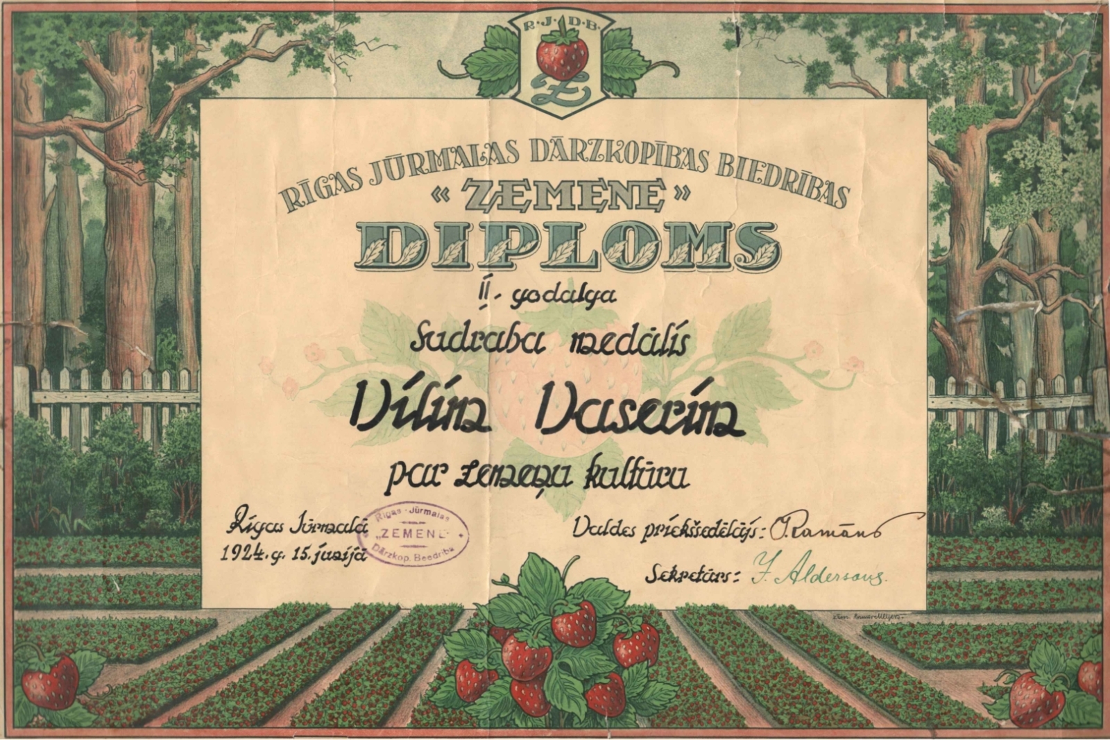 Tipogrāfiski iespiesta veidlapa – malās krāsains zīmējums ar zemeņu vagām, žogu un kokiem aiz tās, centrā tipogrāfiski iespiests teksts, kā arī teksts rokrakstā ar melnu tinti, latviešu valodā. Diploms apstiprināts ar diviem parakstiem un biedrības zīmogu.