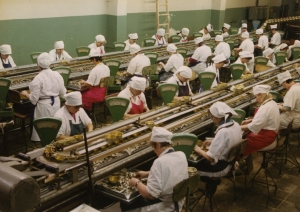 Krāsaina fotogrāfija. Telpā pie diviem konveijeriem, uz kuriem novietotas konservu kārbas, sēž sievietes, ģērbušās baltos halātos, ap galvām balti apsēji, viņām priekšā novietotas paplātes ar zivīm.